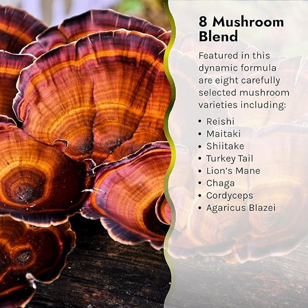 تقویت کننده سیستم ایمنی اروین نچرالز Irwin Naturals Pure Defense Mushroom-