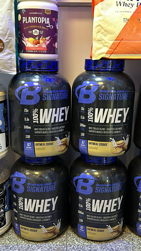 پروتئین وی بادی بیلدینگ 67 سروینگ Bodybuilding 100% Whey Protein