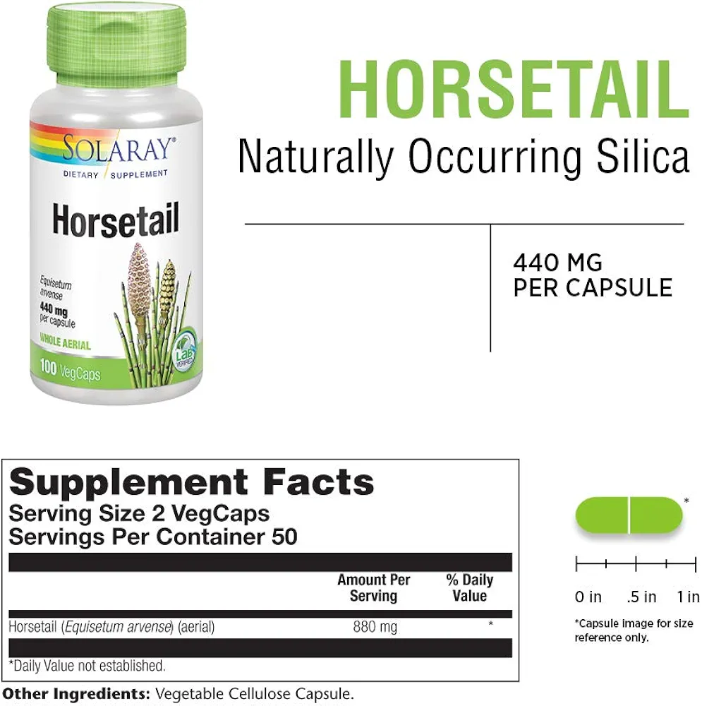 هورستیل سولاری (۱۰۰عددی)Solaray Horsetail 880 mg, Hair Skin and Nails, 100 Vegan Capsules